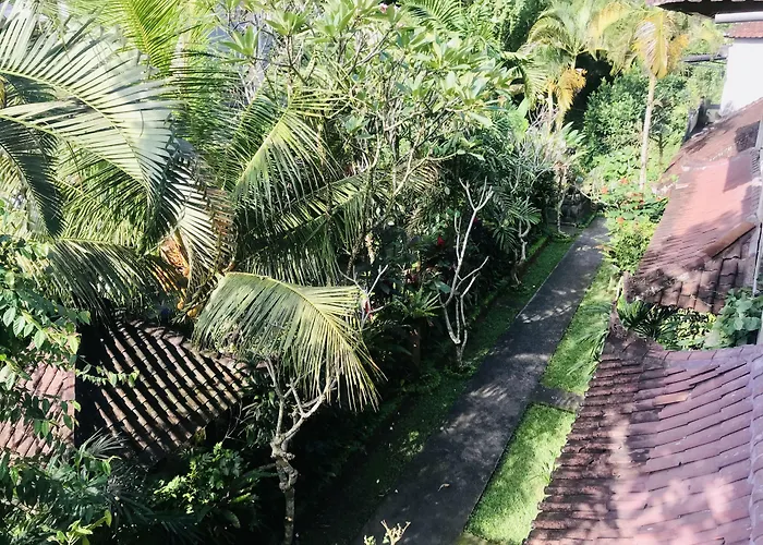 Karang Mesari *