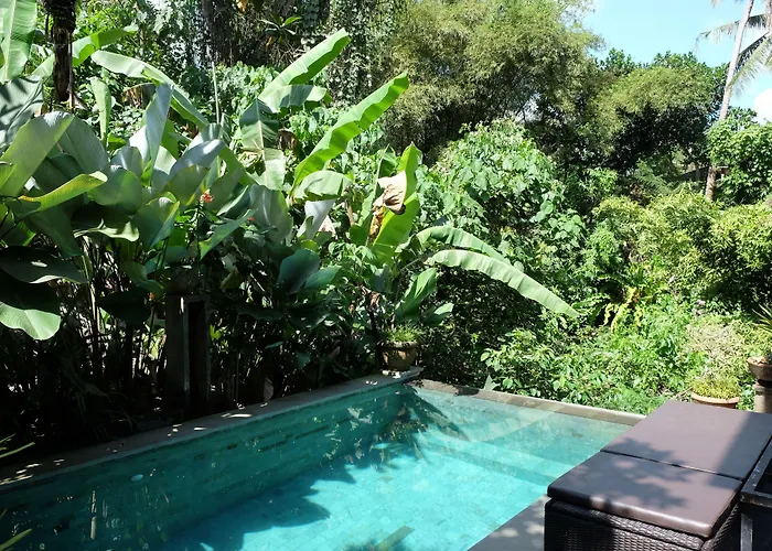 Karang Mesari *